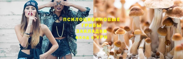 прущая мука Бронницы