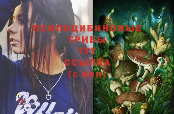PSILOCYBIN Бугульма