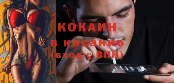 хмурый Бородино