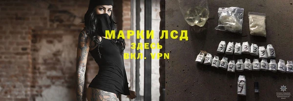 хмурый Бородино