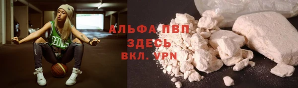 PSILOCYBIN Бугульма