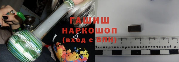 твердый Сясьстрой