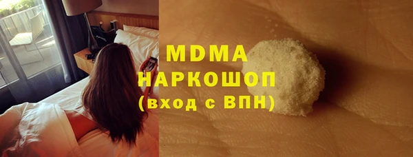 хмурый Бородино