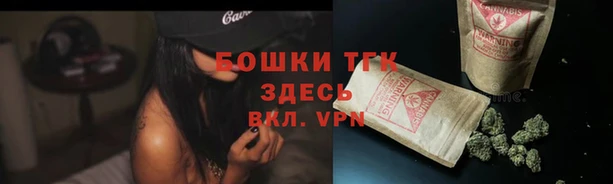 PSILOCYBIN Бугульма