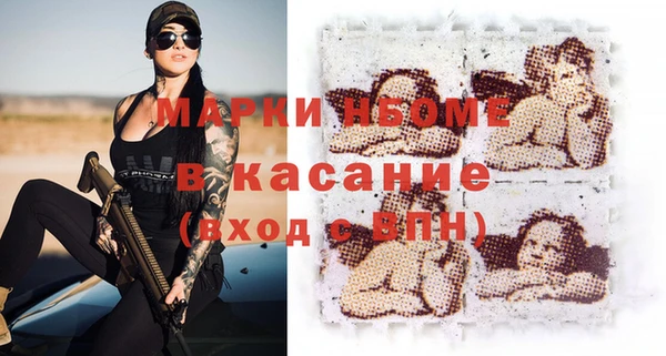 хмурый Бородино