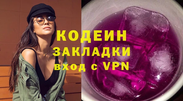 хмурый Бородино