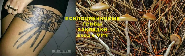 PSILOCYBIN Бугульма