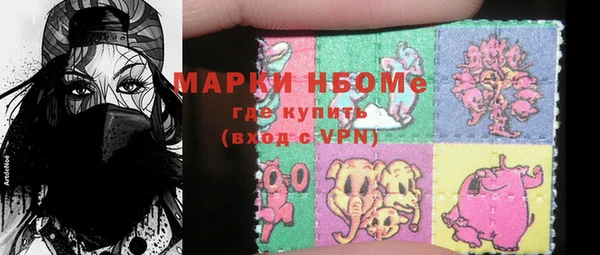 хмурый Бородино