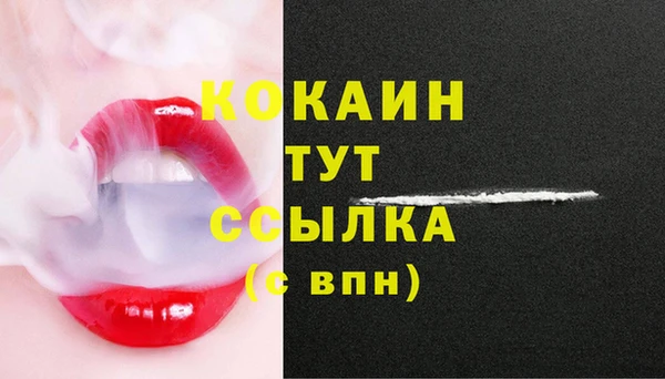 хмурый Бородино
