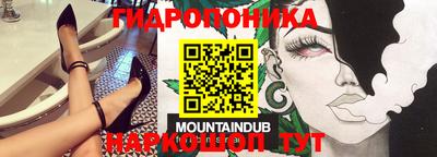 первитин Заводоуковск