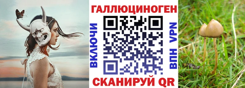 Псилоцибиновые грибы ЛСД  Медногорск 