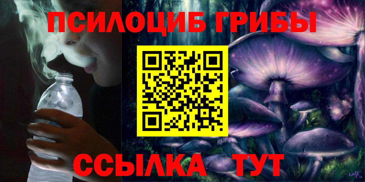 магазин  наркотиков  Вход с VPN  Медногорск  Псилоцибиновые грибы MAGIC MUSHROOMS 